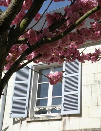 La Closerie Saint Jacques Loches Luaran gambar